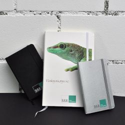 Digitaldruck individuell